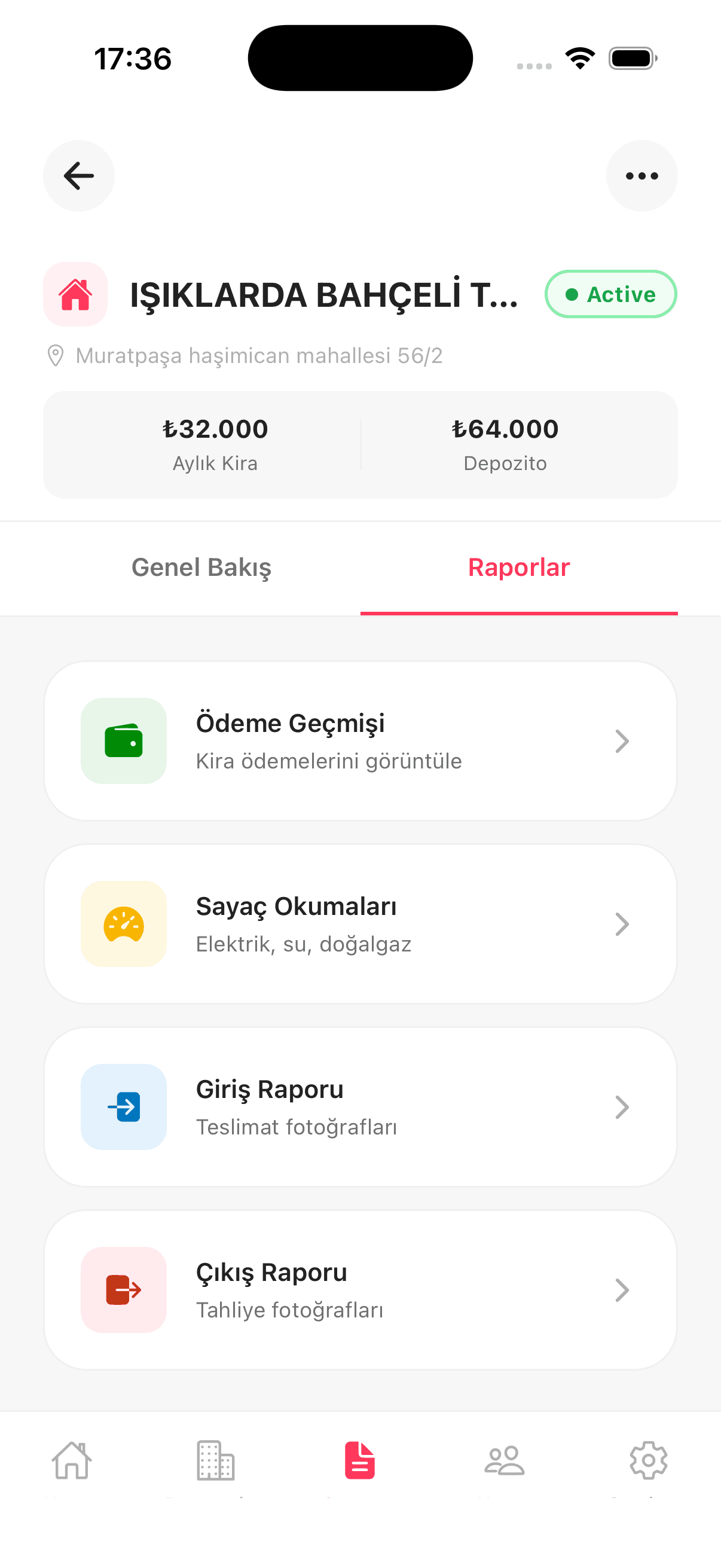 Raporlar